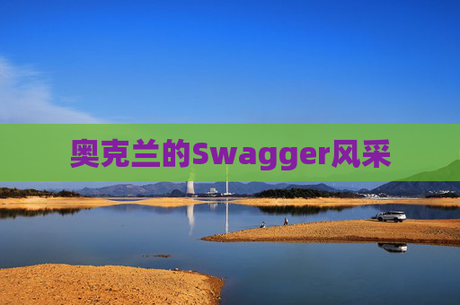 奥克兰的Swagger风采