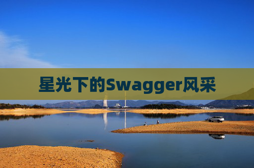 星光下的Swagger风采