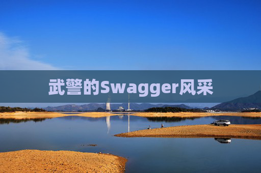 武警的Swagger风采